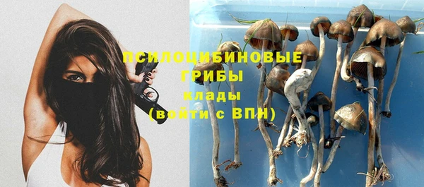 первитин Касимов