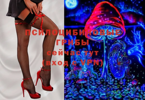 мдпв Карталы