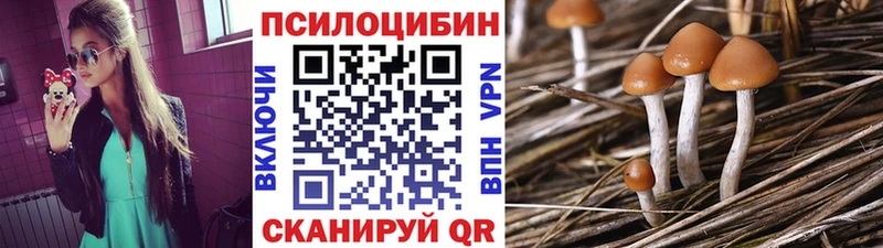 Купить закладки  Задонск  Галлюциногенные грибы Psilocybe 